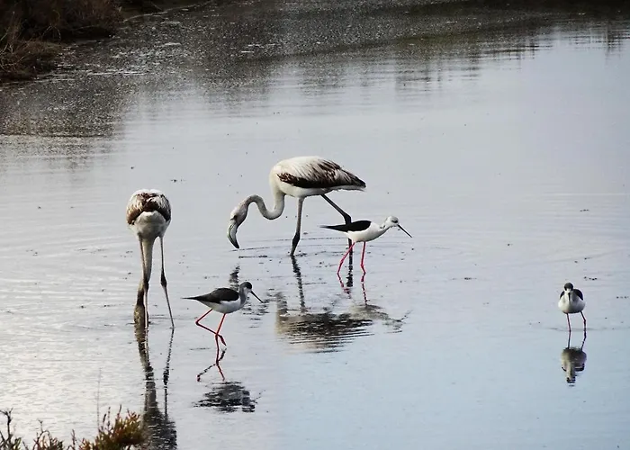 Casa 2 Mares Apartment *